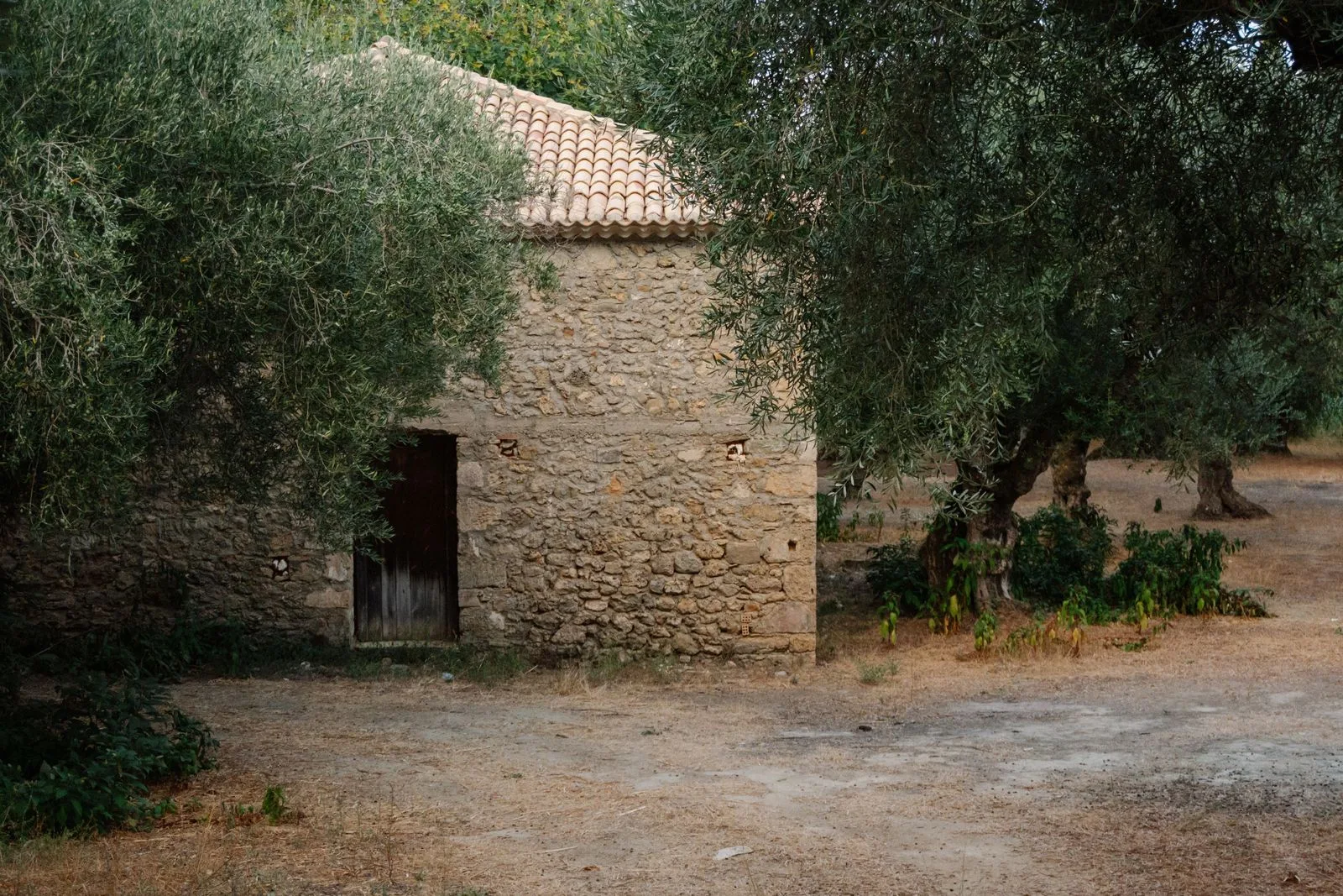 A traditional stone building surrounded by olive trees in Zakynthos, Greece